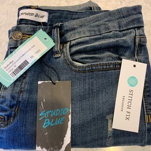 Stitch Fix Studio Blue Kenova Skinny 